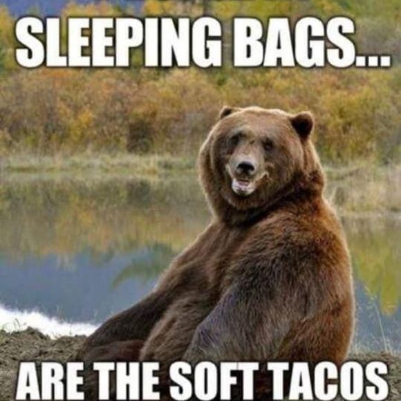 Meet your Posher, John - Picture 1 of 1